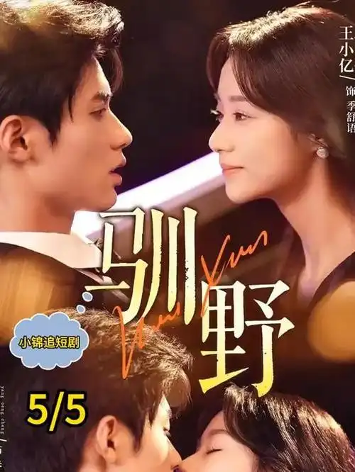 剧集《白露为霜》海报